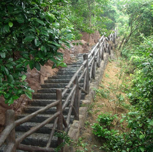 登山道