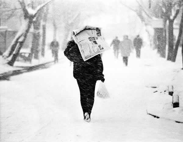 风雪图片 归途图片