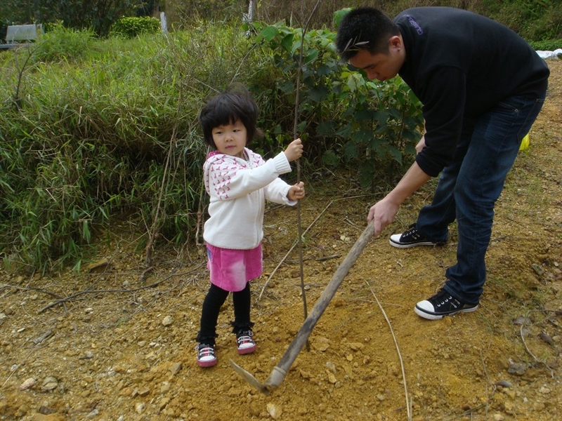 浙江：嘉兴让“植树节”成为“爱树节”