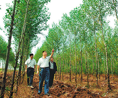 退耕还林：广西石漠化地区的山青水秀