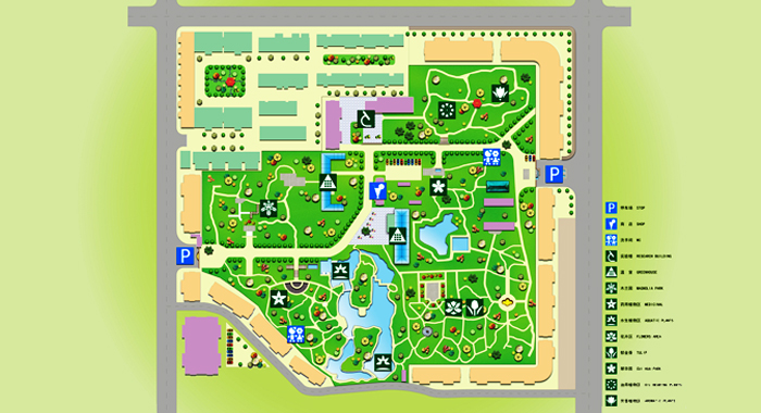 杭州植物园平面图东莞植物园平面图上海植物园平面图4321西安植物园将